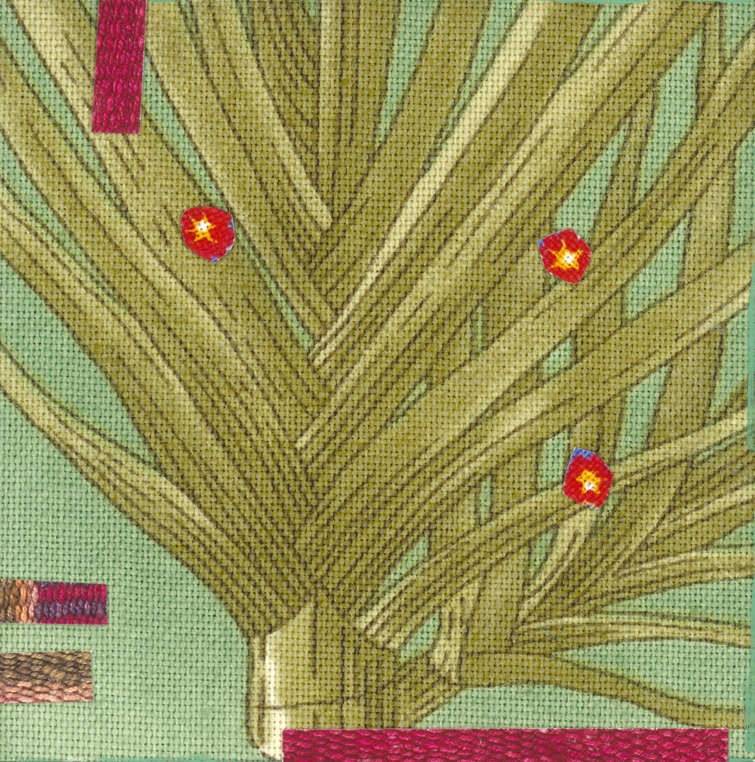 Planta de Flores Rojas